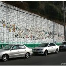 우리가 가꾸는 꽃길 이미지