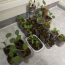 풍원농약사 이미지