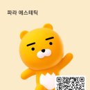 파라 에스테틱 네이버블로그
