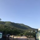 학동자동차야영장아영장 이미지