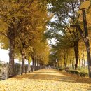 송정둑길 이미지