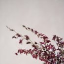 반송동114 이미지