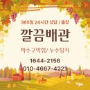 도봉-도봉-2156 이미지