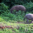 상곡마을회관 이미지