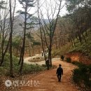 승주 조계산 선암사-천년불심길-송광사-무소유길 이미지