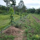 구원농장 이미지