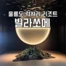 미네랄파사드 | [울릉도여행] 울릉도 럭셔리 리조트 빌라쏘메 후기 : 체크인 고로쇠물, 웰컴티 세레모니, 음양오행 팔찌