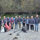 매화공원 충청타임즈