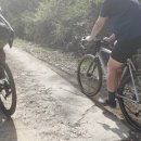 컴포즈커피(원주문막점) | 원주 문막 그래블 라이딩 덕가산 임도 코스 다녀온 후기 (아더러스틱 그래블바이크)