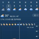 그린월드 Daum카페