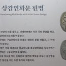 경북대학교 박물관 이미지