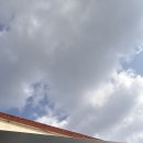 리페어아티스트