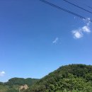 양지별밤 이미지