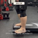 바오핏가락문정 이미지