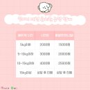 호텔멍 이미지