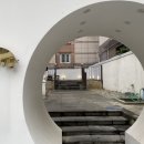 수영삼춘 이미지