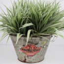 신월중고타이어 이미지