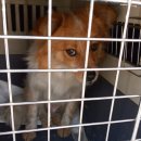 낙동북로 이미지