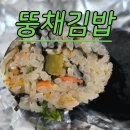 뚱채김밥 | 대구 가성비 김밥집! 뚱채김밥 구지점 후기