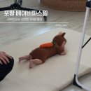 형제 셀프 크리닝 | 포항 아기 50일 사진 베이비파스텔 스튜디오 후기