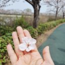 첨단쌍암공원 이미지