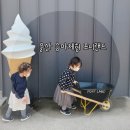 금아매점 | 울산 승마체험 포니랜드 아기 말타기 체험 솔직후기