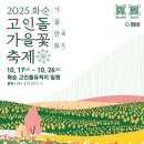 애니텔2 모텔 | 2025 화순 고인돌 가을꽃 축제 완벽 가이드