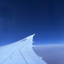 969 | [동유럽] 대한항공 체코 프라하 직행 탑승 후기 KE969 기내식 모바일체크인 일반석 비행시간 준비물