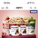 [카카오 쇼핑하기] 하겐다즈 파인트 4개 28,710원 이미지