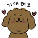 뽀리&쵸쵸 이미지