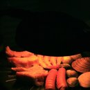 아름다운 사랑이 머무는곳 이미지