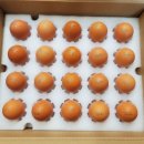 양촌농원 1농장 이미지