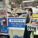 쌍둥이네수산