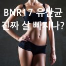 요즘 뜨는 bnr17 유산균 효능 다이어트 효과 있을까? 이유는? 이미지