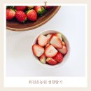 호농원 | 딸기 씻는 방법, 류권호농원 설향딸기 솔직후기