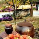 해뜨는어린이집 이미지