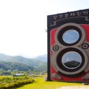 능내1리 마을회관 이미지