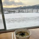 보성애견 | 보성애견동반 독채펜션 늘봄 이용후기