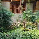 포도송이펜션 이미지