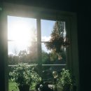 거창푸르지오부자공인중개사 | 🚀 월요일 아침, "월급 외 수익 10만 원"부터 시작하는 행복한 부자 습관 (feat. 셜록홍즈)