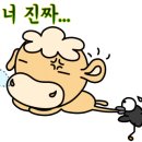 화타짬뽕