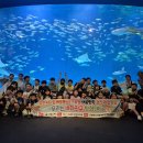 바다친구 이미지