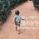 숲속의살룻 자연농원 | 통영 웰니스여행 나폴리농원 편백숲 맨발체험 소요시간, 예약