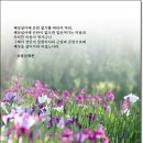 세상살이 이미지