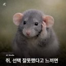 오올치 네이버블로그