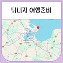 스팍스 | 튀니지 7박9일 여행준비 과정 (자유여행, 무계획)