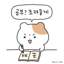 쉽게 배우는 일본어 문법편(중급) | JLPT N3 독학으로 합격하기~ (Feat.시원스쿨 일본어) - 2탄