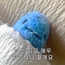 빠삐용베이커리 - 중구 중앙길 91 | 빠삐용베이커리