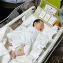 엘르메디 여성의원 부설 산후조리원 | [출산후기/거제 엘르메디 여성의원] 초산모, 37주1일, 양수터짐, 유도분만, 응급제왕절개