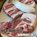 제주늘봄 | [제주도맛집] 제주도민 추천 흑돼지 맛집 늘봄흑돼지 내돈내산 후기 (주차 가능)